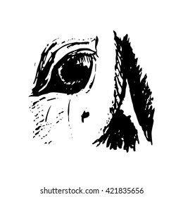 Graphic eye horse