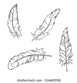Graphic feather set. Doodle ink sketch. Hand drawn vector illustration.