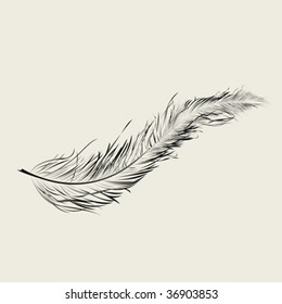 Graphic feather, vector art illustration