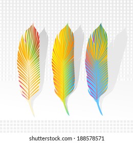 plumas gráficas 