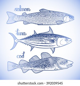 Graphic fish collection drawn in line art style. Salmon, tuna and cod for seafood menu. Sea and ocean creatures isolated on white background.  Coloring book page design