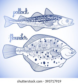 Graphic fish collection drawn in line art style. Pollock and flounder for seafood menu.  Sea and ocean creatures isolated on white background. Coloring book page design