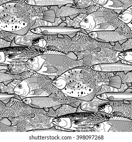 Graphic fish seamless pattern drawn in line art style. Sea and ocean creatures on white background. Vector element for seafood menu design