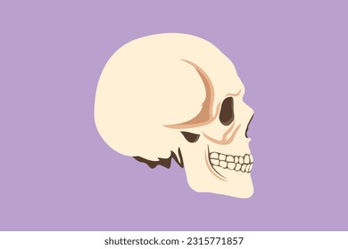 Graphic flat design drawing stylized white skull logo, icon, label, symbol. Human head bone. Skeleton medical education item. Sketch anatomical skulls in side view. Cartoon style vector illustration