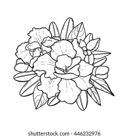 Graphic floral card. Vector azalea leaves and flowers in cute vignette isolated on white background. Wedding style decorations in black and white colors. Coloring book page design for adults and kids