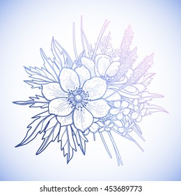 Graphic floral card. Vector isolated anemone leaves and flowers in cute vignette. Wedding style decorations in blue and pink colors. Coloring book page design for adults and kids