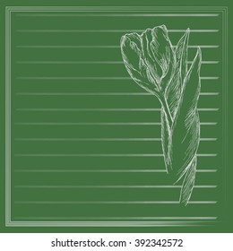 Graphic flower, sketch of tulip on green background. Vector floral illustration in vintage style. Hand drawn artwork. Template for wedding invitation, card, congratulation, greeting. Place for text. 