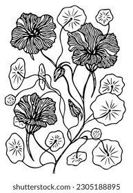 Graphic flower, stylized nasturtium. Floral branch with flowers, buds and leaves. Black outlines isolated on the white background. Vector image. Separate element for design. Flower constructor.