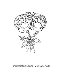  Graphic flowers. Hand draws graphic illustrations on a white background. Graphic flowers for design