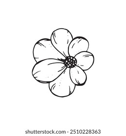  Graphic flowers. Hand draws graphic illustrations on a white background. Graphic flowers for design
