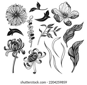 Graphic flowers and leaves isolated. Vector