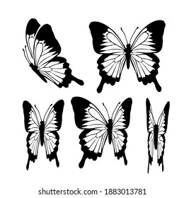 Graphic flying black and white butterflies. Vector illustration. Tropical butterfly on a white background