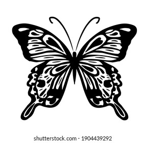 Graphic flying black and white butterfly. Vector illustration. Tropical butterfly on a white background