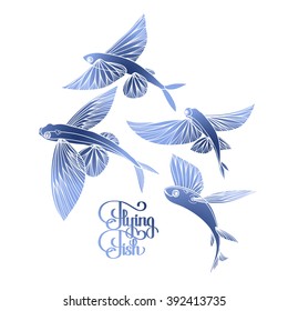 Graphic flying fish collection drawn in line art style. Sea and ocean creature isolated on white background. Coloring book page design