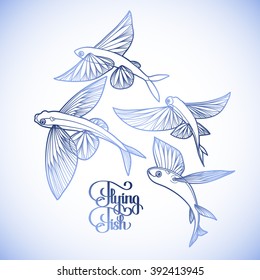 Graphic flying fish collection drawn in line art style. Sea and ocean creature isolated on white background. Coloring book page design