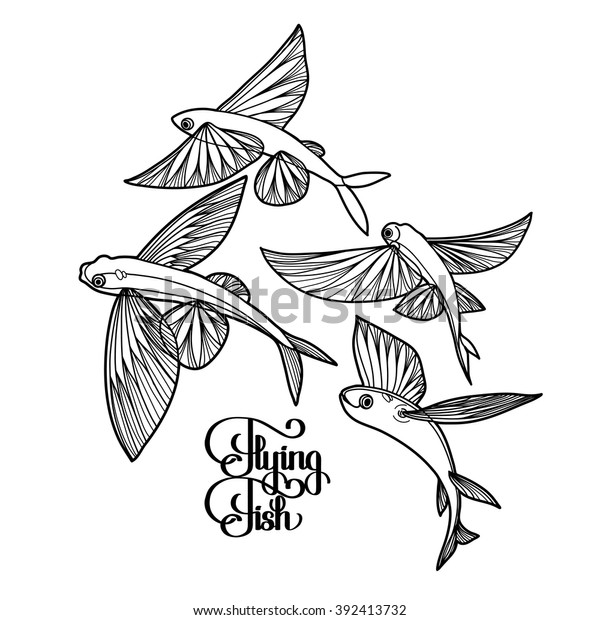 Graphic flying fish collection drawn\
in line art style. Sea and ocean creature isolated on white\
background. Coloring book page design for adults and\
kids