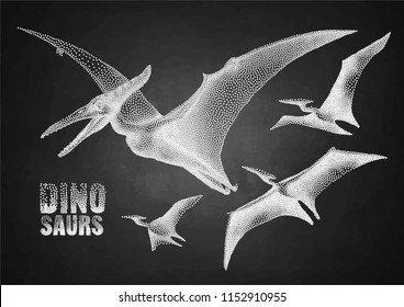 Graphic flying pterodactyls. Vector dinosaurs isolated on the chalkboard. Animal of the prehistoric period in stippling technique