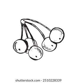  Graphic forest theme. Hand draws graphic illustrations on a white background. Graphic forest theme for design