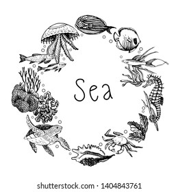 Graphic frame of marine images. Graphic set. Manual graphics. Sketches. Sea animals, corals and algae.