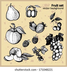 Graphic fruit set. Set of elements for design and scrapbooking. Vector illustration for greeting cards, invitations, and other printing and web projects.