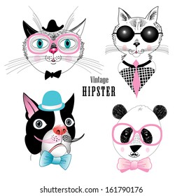 graphic funny set of different animals hipster on a white background 