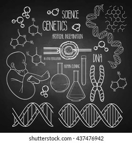Graphic genetic research set. Vector medical and science collection isolated chalkboard