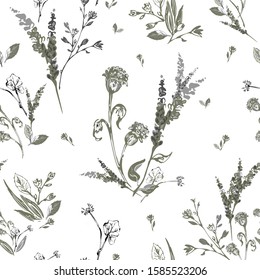 Graphic gentle Seamless pattern with the image of field plants on a white background. Botanical elements are randomly located. Vector with light contours and silhouettes. For print, textile, fabrics