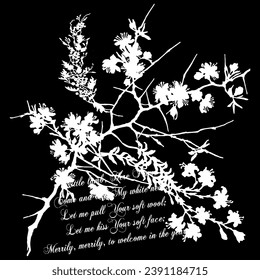 graphic geometric hand writing brush flowers floral black art pattern background texture abstract design