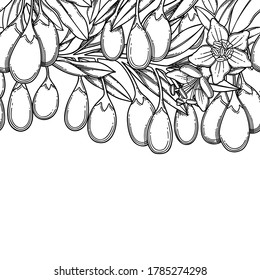 Graphic goji branches. Vector repeated seamless border