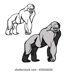 Graphic gorillas in the color and outline on white background