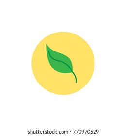 graphic green leaf. Vector illustration