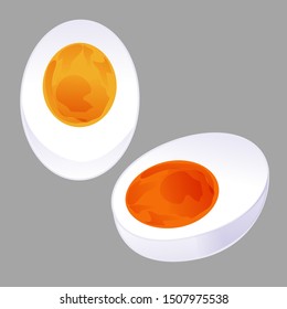 graphic half sliced boiled egg and salted egg isolated on grey background