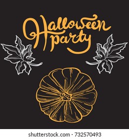 graphic Halloween pumpkin,bat,spider web and  fall leaves on white background .Set of vector illustrations 