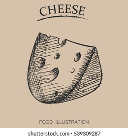 Graphic hand drawn cheese sketch vector illustrator. Retro style