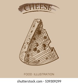 Graphic hand drawn cheese sketch vector illustrator. Retro style