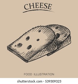 Graphic hand drawn cheese sketch vector illustrator. Retro style