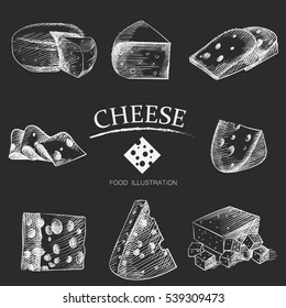 Graphic hand drawn cheese sketch vector illustrator on blackboard. Chalkboard