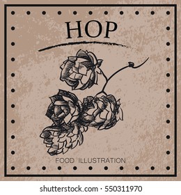 Graphic hand drawn hop isolated on shabby background. Beer sketch elements for oktoberfest festival. Retro hand-drawn vector illustration