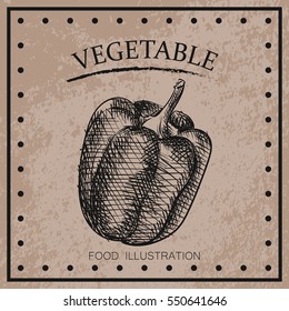 Graphic hand drawn ripe pepper isolated on shabby background. Vegetables sketch elements. Retro hand-drawn vector illustration