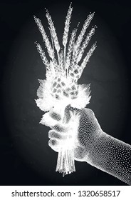 Graphic hand holding the bunch of malt and hop drawn in stippling technique