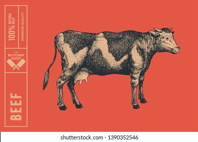 Graphic hand-drawn cow on a red background. Retro engraving with farm animal for menu restaurants, for packaging in markets and shops. Vector vintage illustrations.