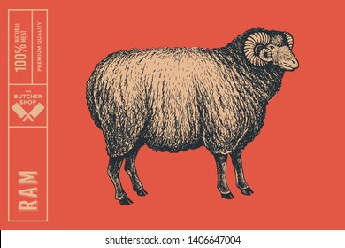 Graphic hand-drawn ram on a red background. Retro engraving with farm animal for menu restaurants, for packaging in markets and shops. Vector vintage illustrations.