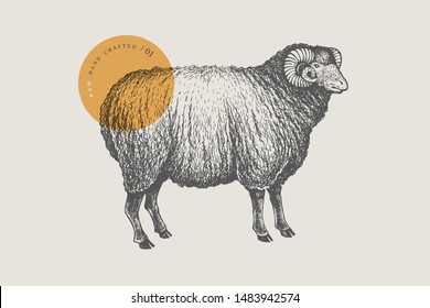 Graphic hand-drawn ram on a red background. Retro engraving with farm animal for menu restaurants, for packaging in markets and shops. Vector vintage illustrations.