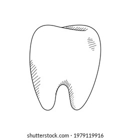 Graphic hand-drawn tooth. Black and white vector illustration isolated on white background.