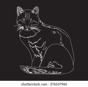  Graphic handwritten cat. Vector 