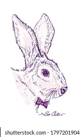 Graphic hare cute portrait with bow tie, hand drawn vector illustration