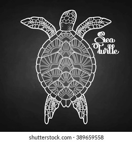 Graphic Hawksbill sea turtle drawn in line art style. Top view. Ocean vector creature isolated on chalkboard