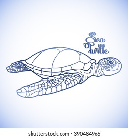 Graphic Hawksbill sea turtle drawn in line art style. Ocean vector creature in blue colors isolated on white background. Side view. Coloring book page design