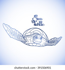 Graphic Hawksbill sea turtle drawn in line art style. Ocean vector creature in blue colors isolated on white background. Front view. Coloring book page design