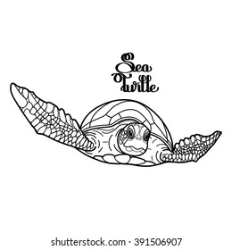 Graphic Hawksbill sea turtle drawn in line art style. Ocean vector creature isolated on white background. Front view. Coloring book page design for adults and kids